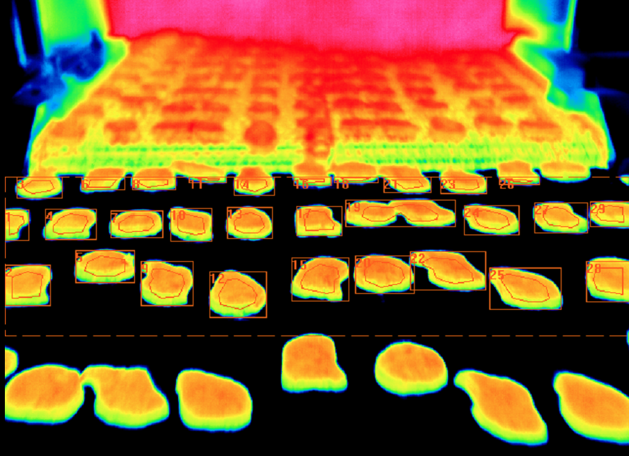 ThermoSpot® Food